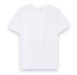 sample 1